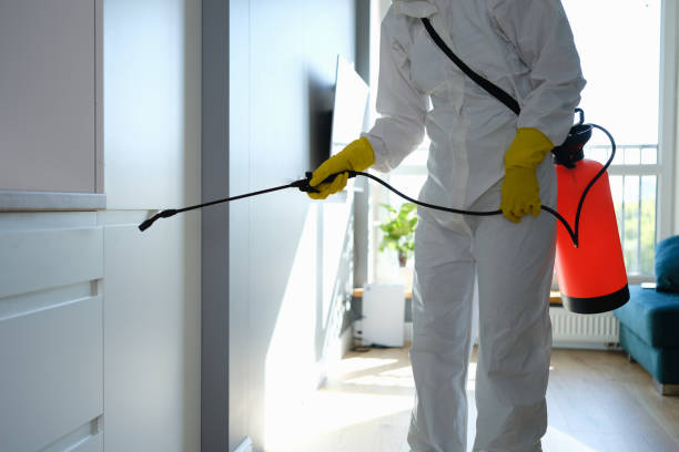 Best Best Mold Removal Companies  in Maryvle, IL
