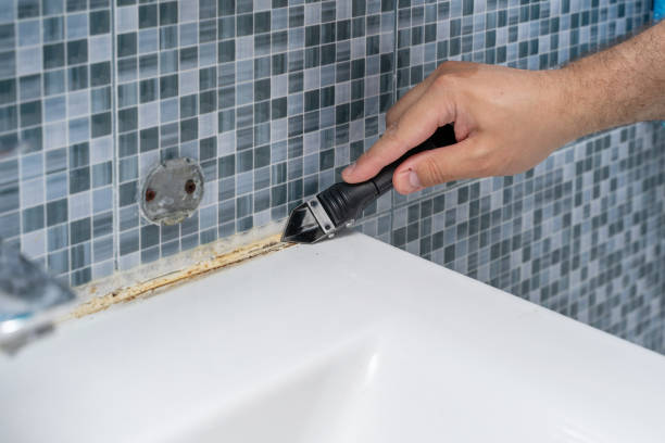 Best Mold Damage Repair  in Maryvle, IL